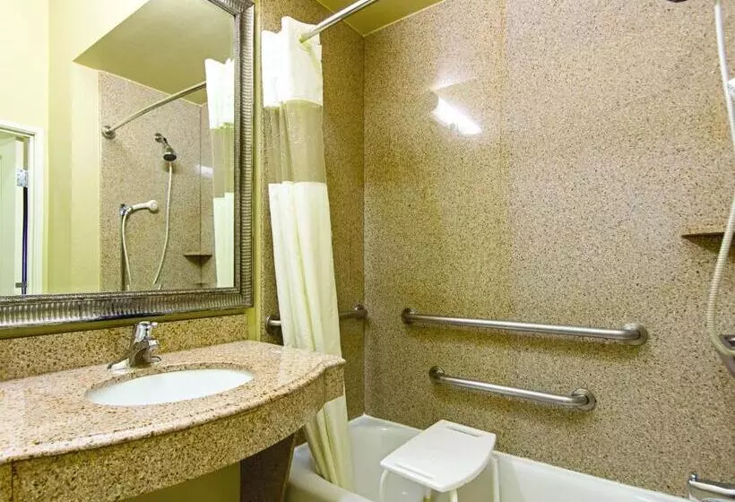 身障者適用キングサイズベッドルーム, La Quinta By Wyndham Houston New Caney