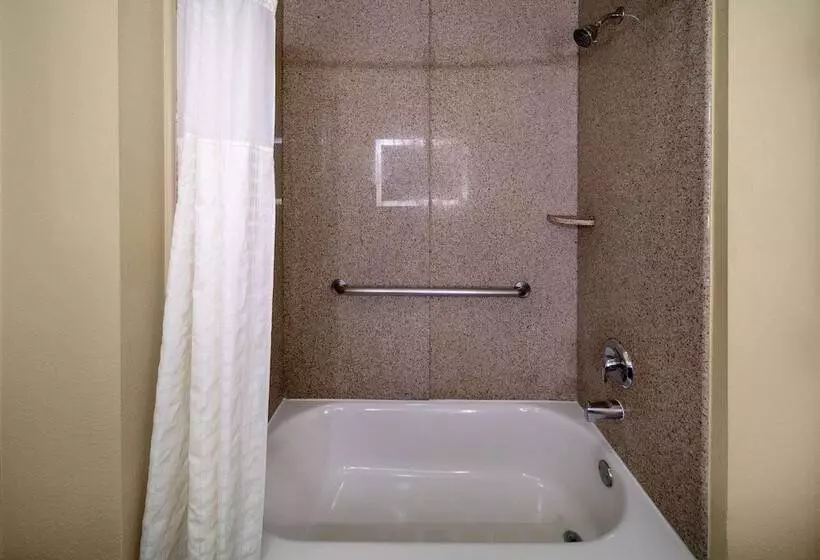 デラックススイート, La Quinta By Wyndham Houston New Caney