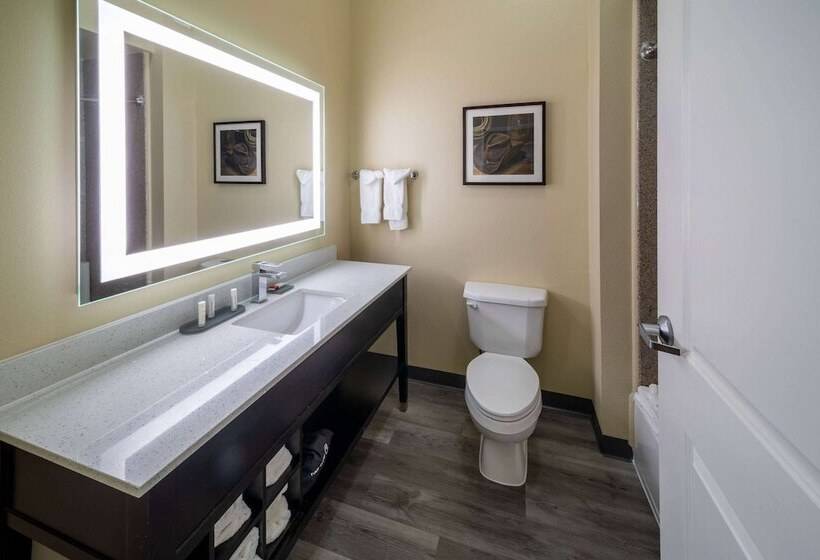 Люкс Повышенной Комфортности, La Quinta By Wyndham Houston New Caney
