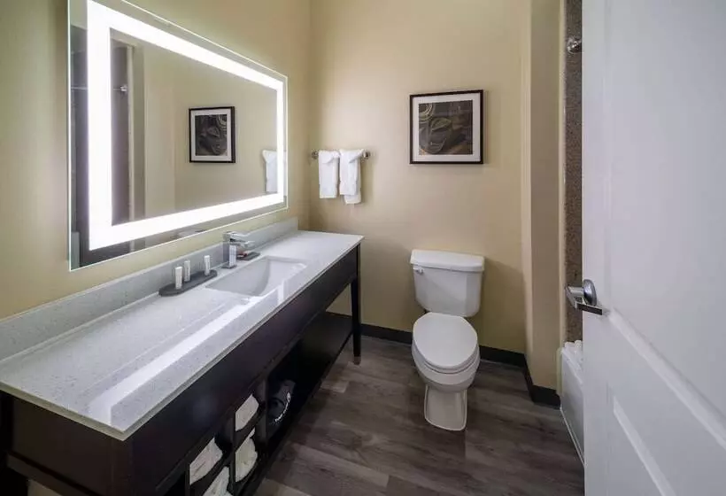 デラックススイート, La Quinta By Wyndham Houston New Caney
