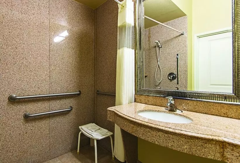身障者適用スイートルーム, La Quinta By Wyndham Houston New Caney
