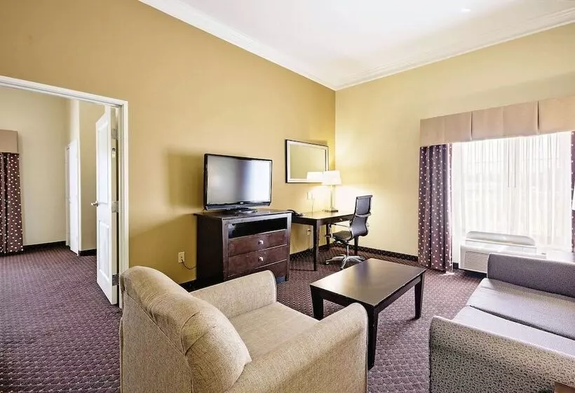 身障者適用スイートルーム, La Quinta By Wyndham Houston New Caney