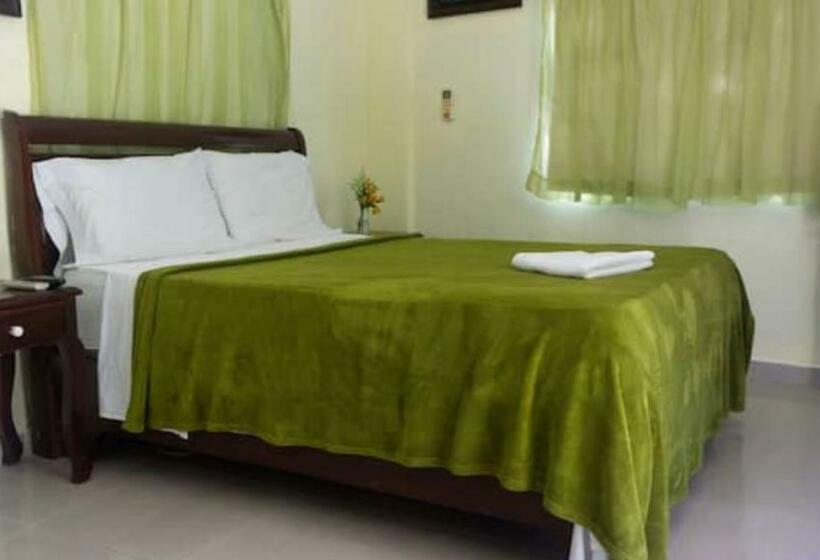 اتاق استاندارد, Luis V Santo Domingo