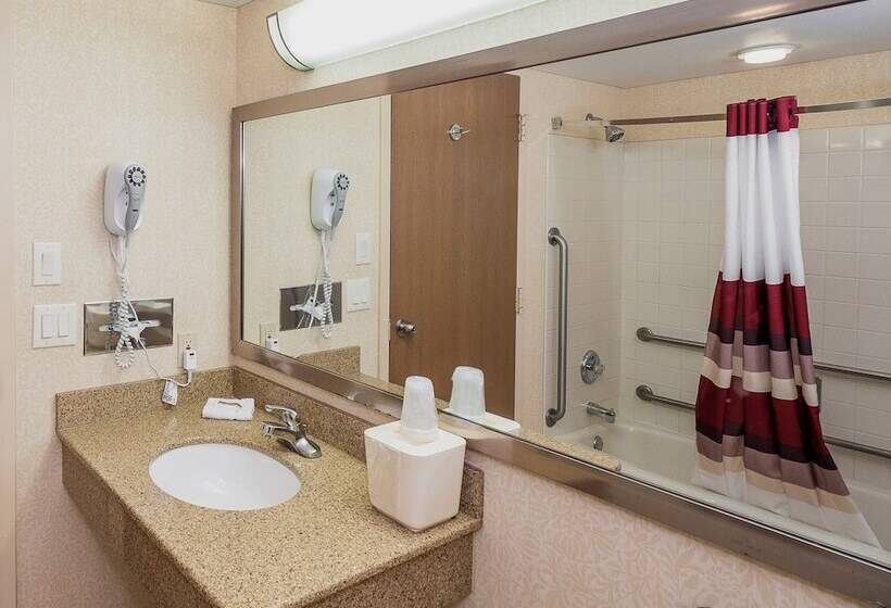 غرفة سوبيريور لذوى الاحتياجات الخاصة, Red Roof Inn & Suites Mt Holly  Mcguire Afb