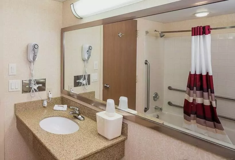 身障者適用スーペリアールーム, Red Roof Inn & Suites Mt Holly  Mcguire Afb