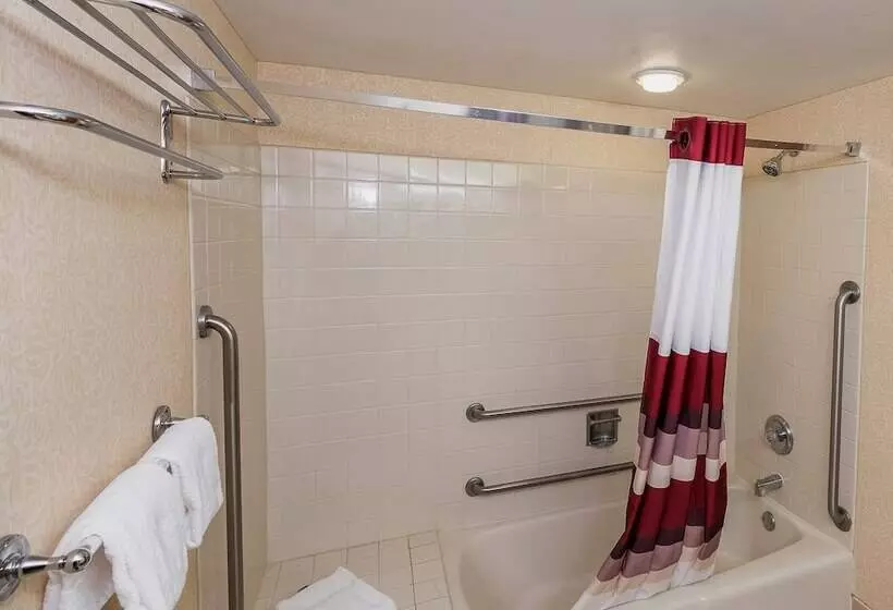 身障者適用スーペリアールーム, Red Roof Inn & Suites Mt Holly  Mcguire Afb