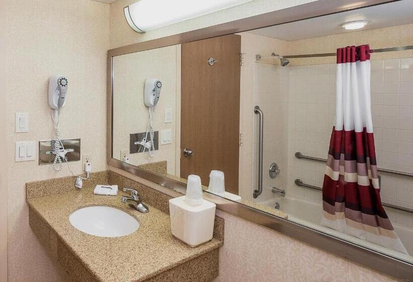 غرفة سوبيريور لذوى الاحتياجات الخاصة, Red Roof Inn & Suites Mt Holly  Mcguire Afb