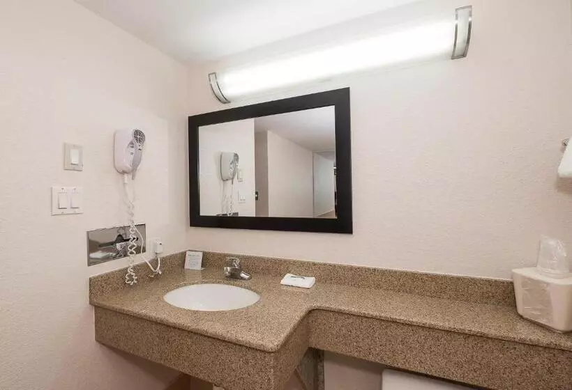 キングサイズベッドのスーペリアルーム, Red Roof Inn & Suites Mt Holly  Mcguire Afb