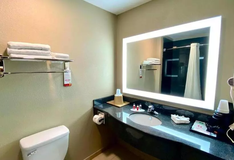 スタンダードルーム, Super 8 By Wyndham Harker Heights Killeen   Fort Cavazos