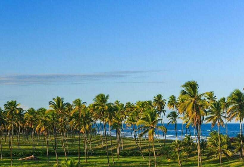 스탠다드 트리플 룸, Viva Porto De Galinhas Resort