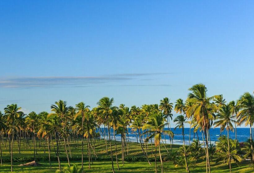 스탠다드 트리플 룸, Viva Porto De Galinhas Resort