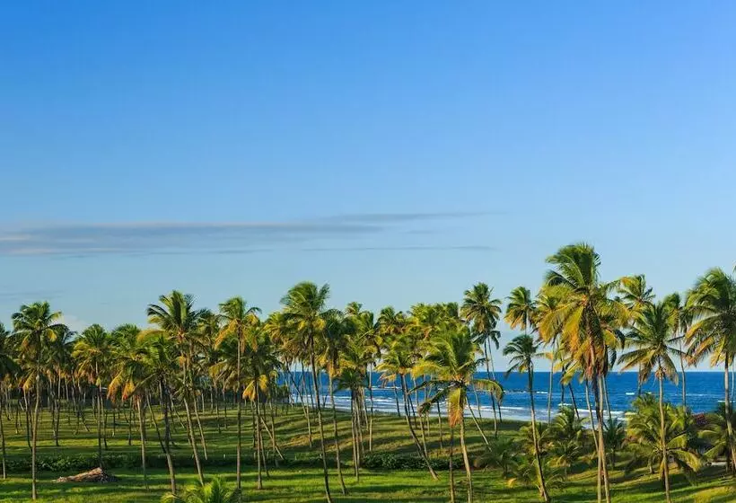 スタンダード４人部屋, Viva Porto De Galinhas Resort