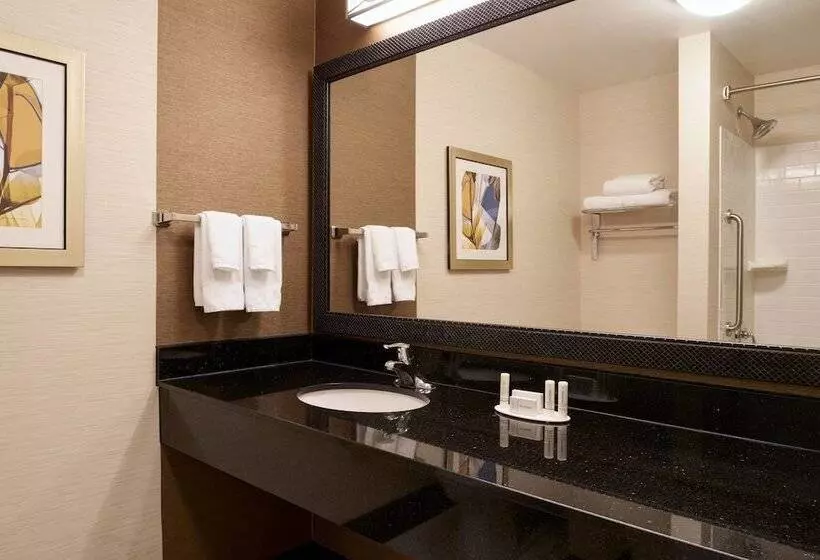 スタンダードスタジオ, Fairfield Inn And Suites New Buffalo