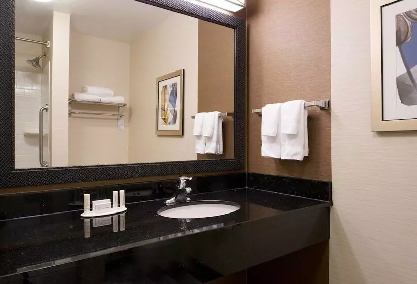 スタンダードスタジオ, Fairfield Inn And Suites New Buffalo