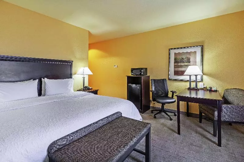 キングサイズベッドのスタンダードルーム, Hampton Inn & Suites Tulsa North/owasso