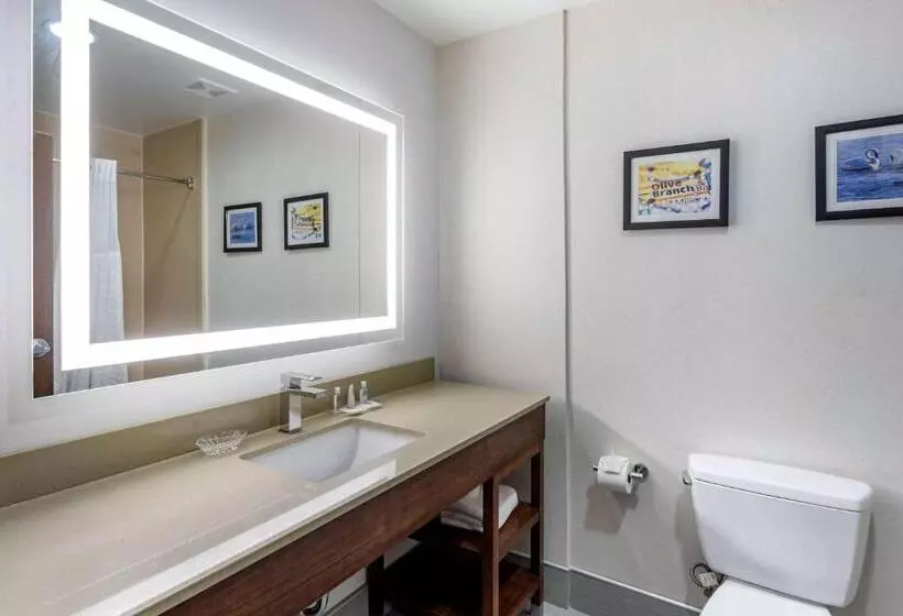 キングサイズベッドのスイートルーム, Comfort Suites Olive Branch   Memphis South