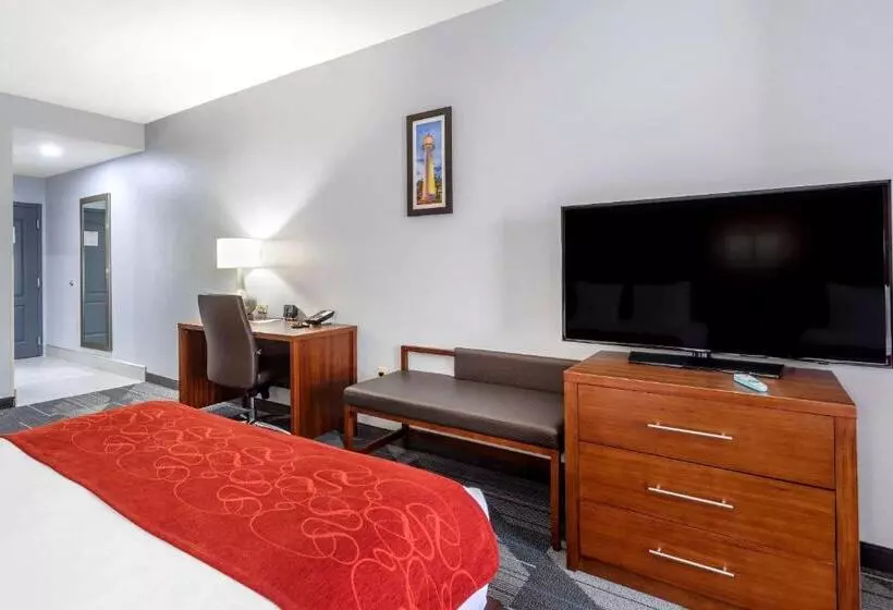 スタンダードルーム, Comfort Suites Olive Branch   Memphis South