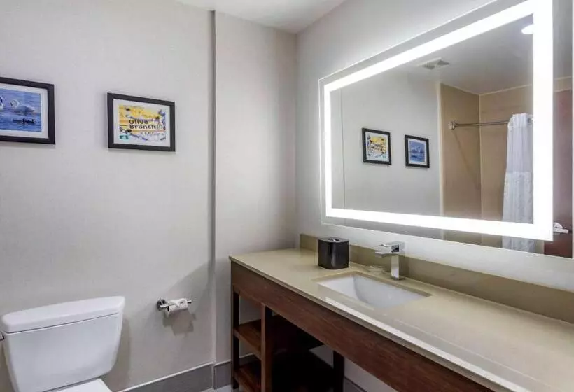 スタンダードルーム, Comfort Suites Olive Branch   Memphis South