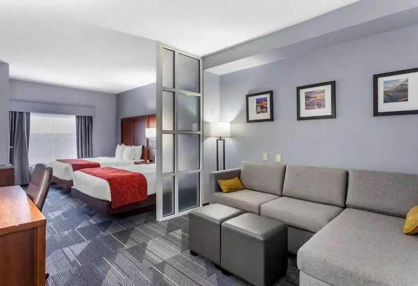 スタンダードルーム, Comfort Suites Olive Branch   Memphis South