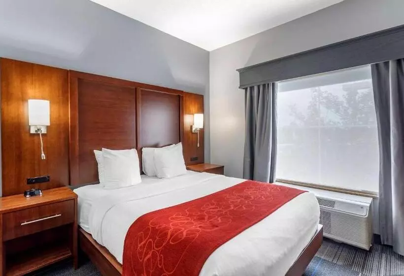 身障者適用スイートルーム, Comfort Suites Olive Branch   Memphis South