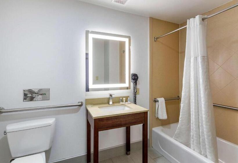 جناح لذوى الاحتياجات الخاصة, Comfort Suites Olive Branch   Memphis South