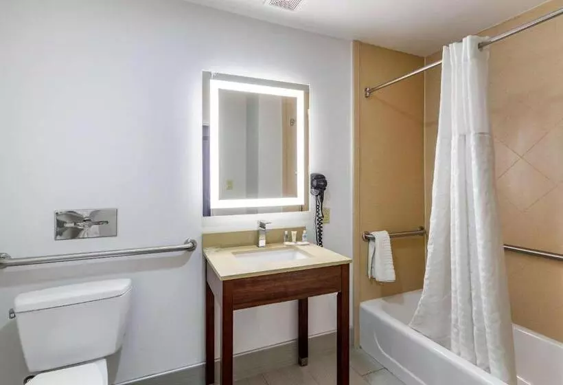 身障者適用スイートルーム, Comfort Suites Olive Branch   Memphis South