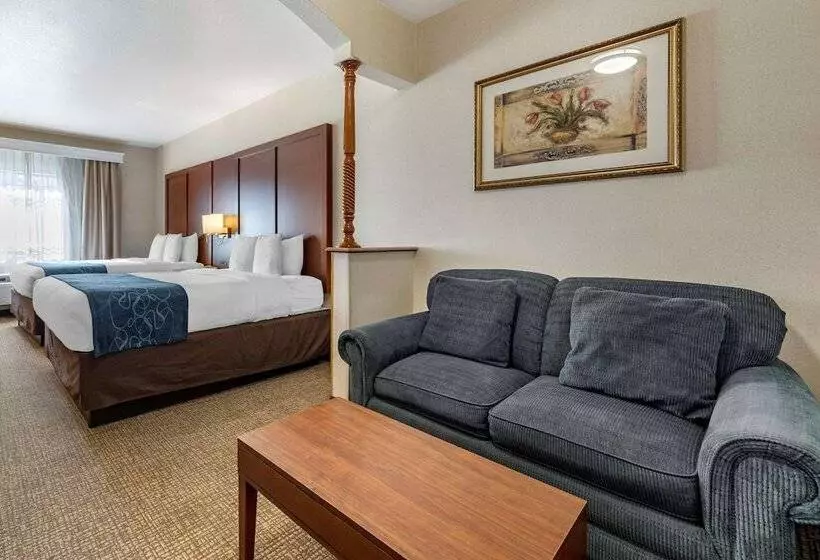 Sviitti, Comfort Suites