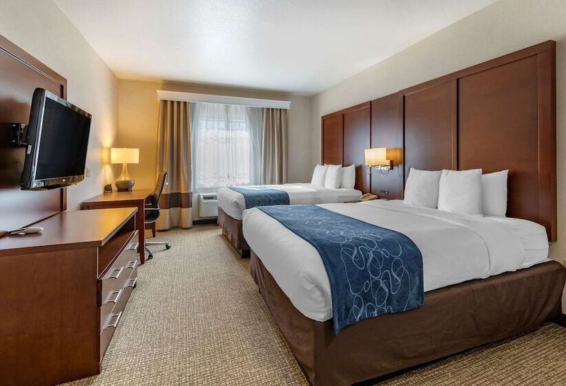 Люкс, Comfort Suites