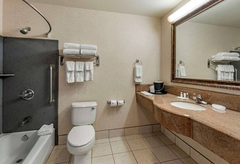 Люкс, Comfort Suites
