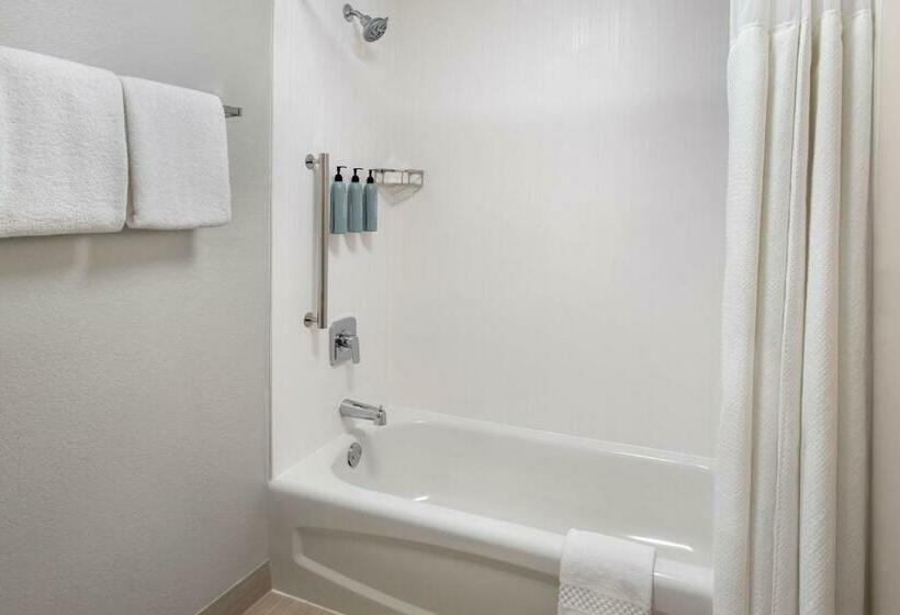 חדר סטנדרט שתי מיטות זוגיות, Courtyard Philadelphia Plymouth Meeting