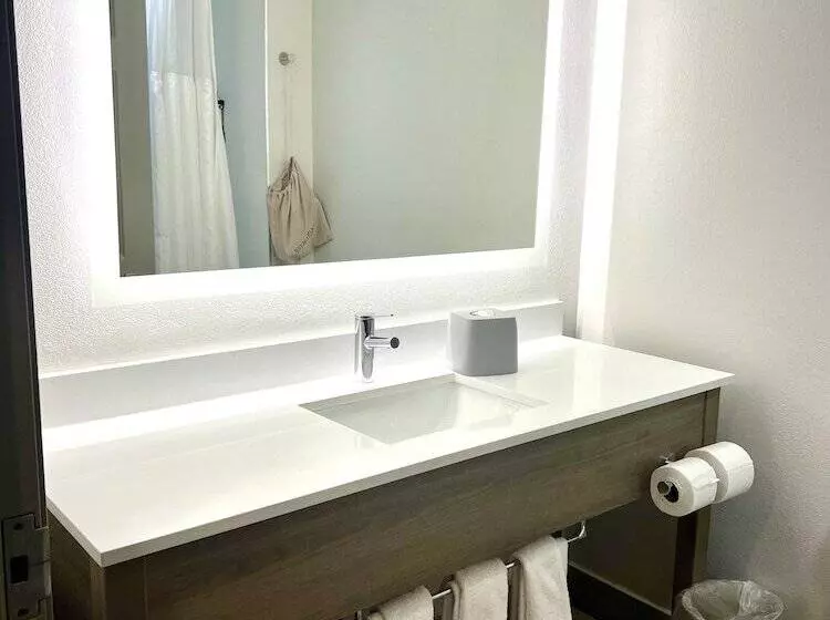Standard-huone, Holiday Inn Express Madison By Ihg