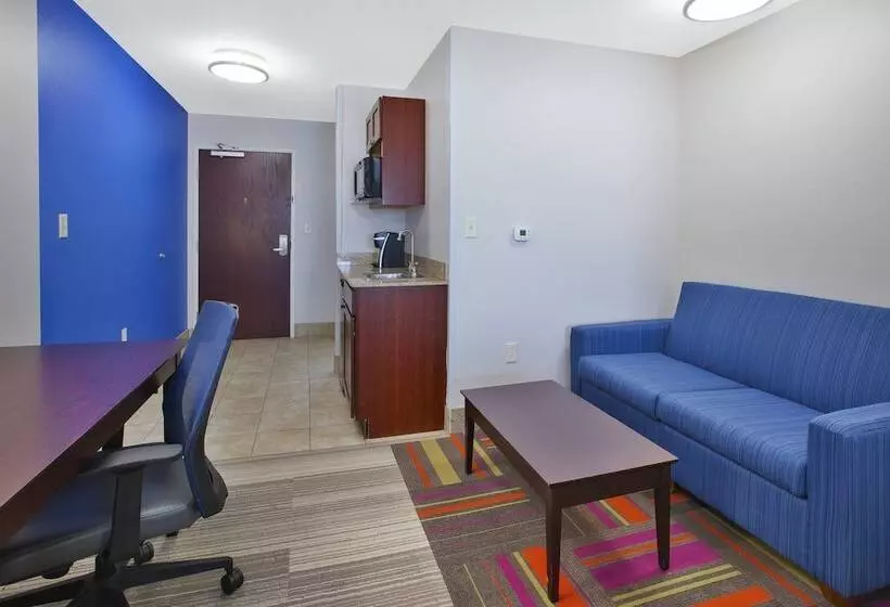 スイート, Holiday Inn Express Niles, An Ihg