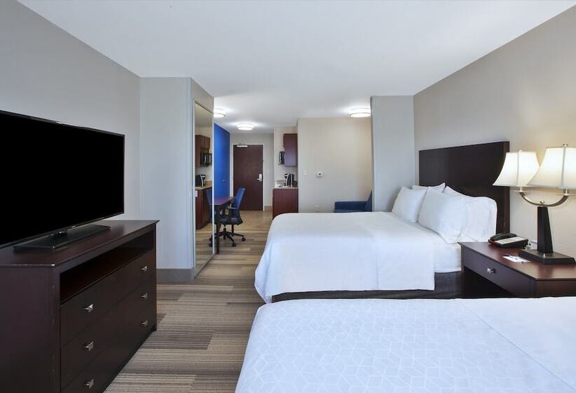 스위트, Holiday Inn Express Niles, An Ihg