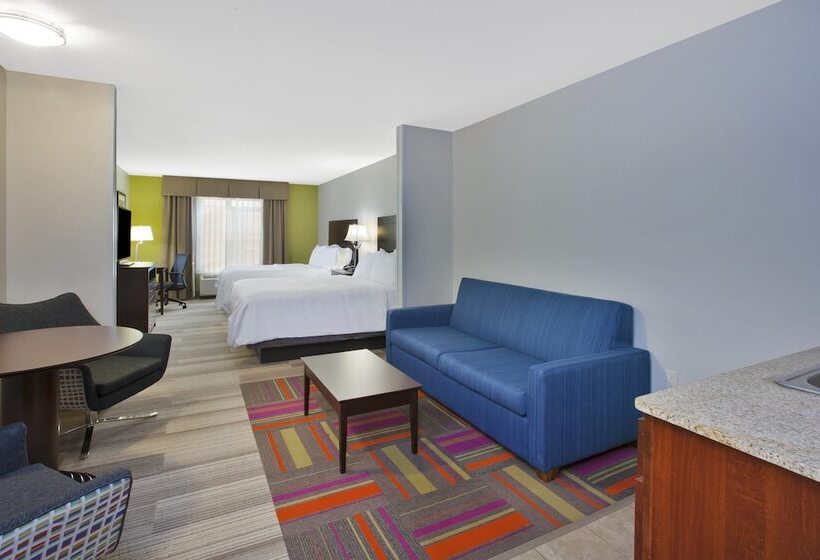 스위트, Holiday Inn Express Niles, An Ihg
