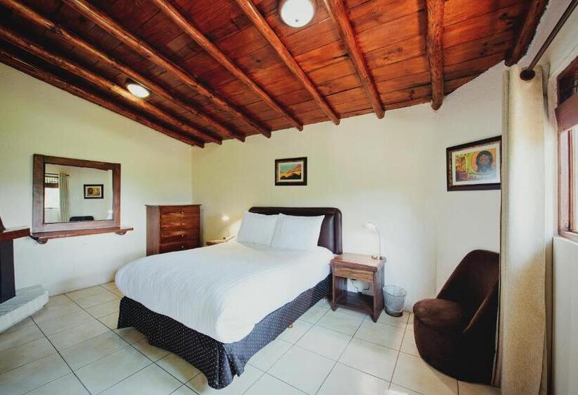 スタンダードルーム, Loto Azul Hotel & Spa