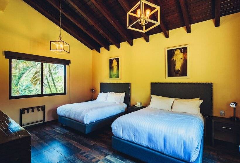 スイート, Loto Azul Hotel & Spa