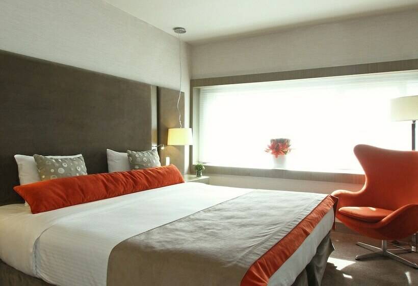 استودیوی لوکس, Recoleta Grand