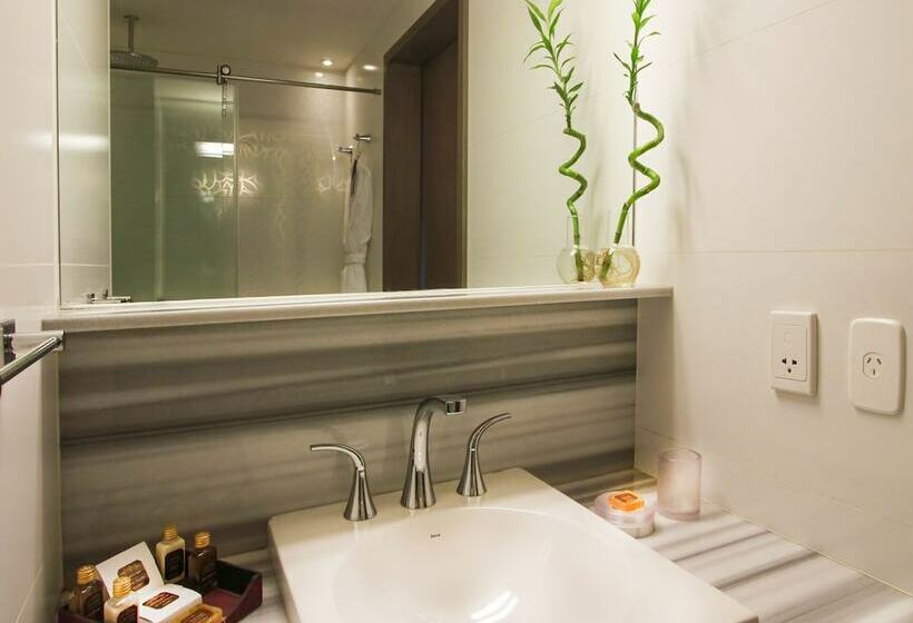 استودیوی لوکس, Recoleta Grand
