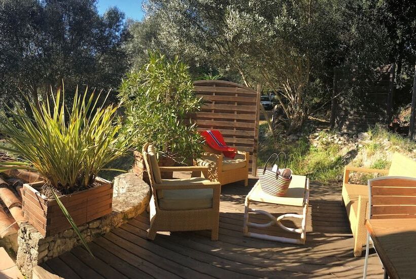 스탠다드 스튜디오 (테라스구비), Résidence Hôtelière A Trama