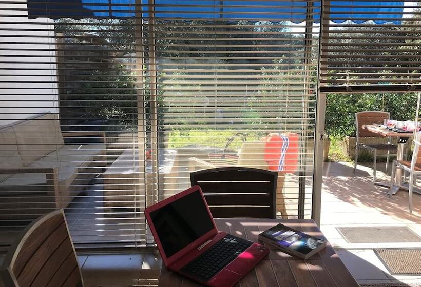 스탠다드 스튜디오 (테라스구비), Résidence Hôtelière A Trama