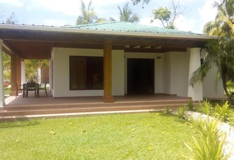 سوییت خانوادگی, Paraiso Rainforest And Beach