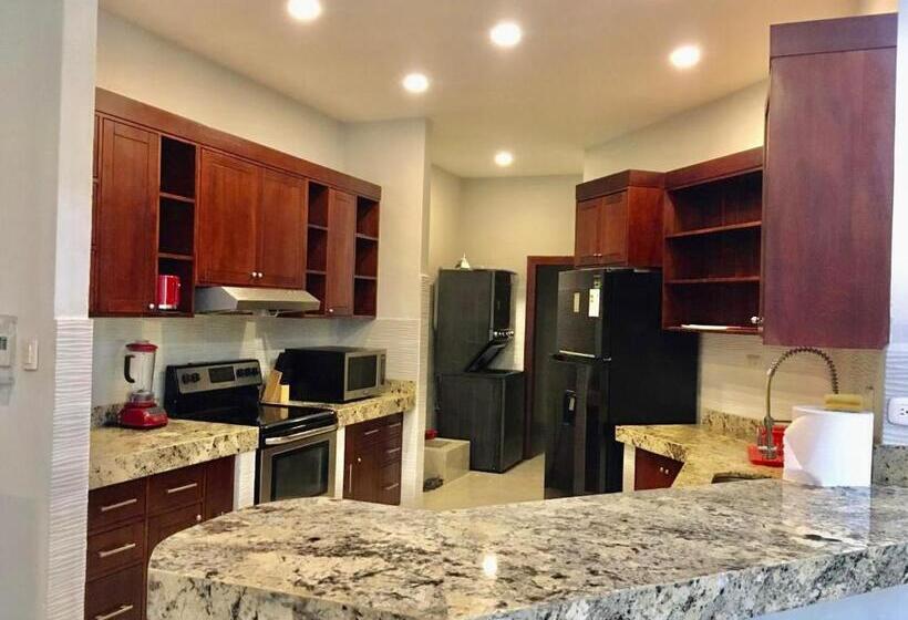 سوئیت پرزیدنت, Paraiso Rainforest And Beach