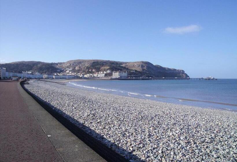 غرفة قياسية سرير كينج, Britannia Guest House