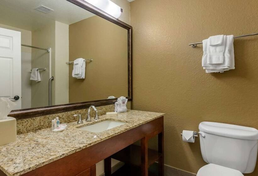 套房, Comfort Suites The Villages