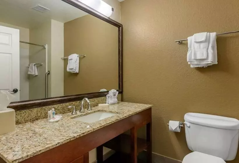 スイート, Comfort Suites The Villages