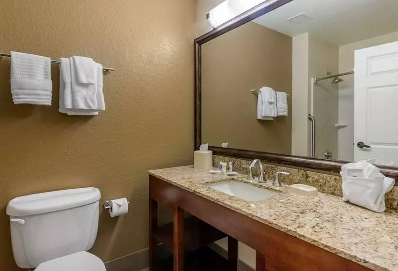 スイート, Comfort Suites The Villages