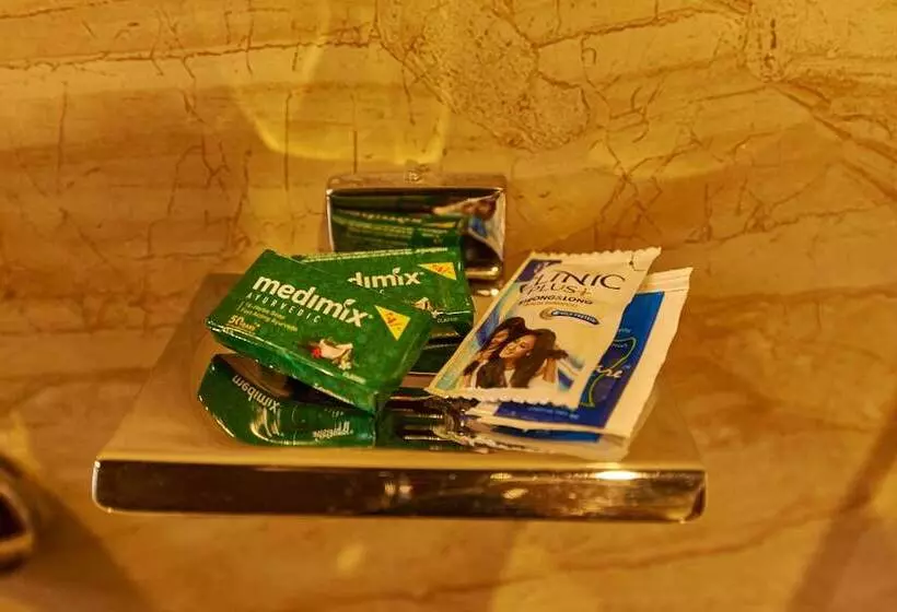 Deluxe-huone, Disha Palace