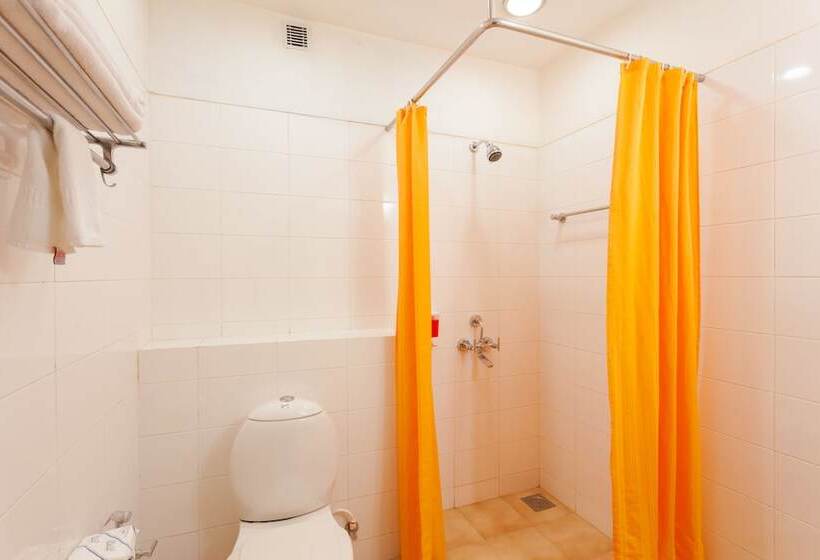 Номер Стандарт, Ginger  Vadodara