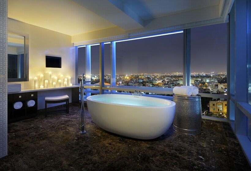 سوییت اجرایی, Park Hyatt Hotel And Residences, Hyderabad