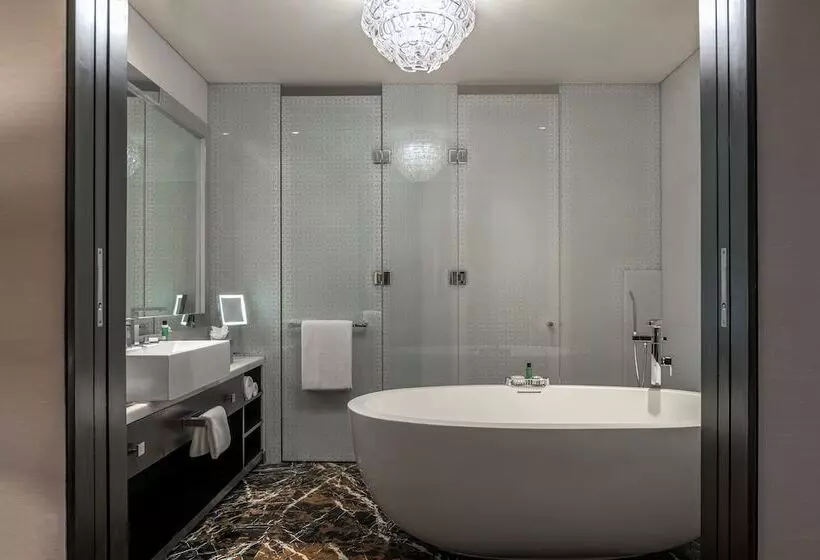 １ベッドルームのデラックスアパートメント, Park Hyatt Hotel And Residences, Hyderabad